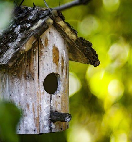Vogelhäuschen im privaten Garten